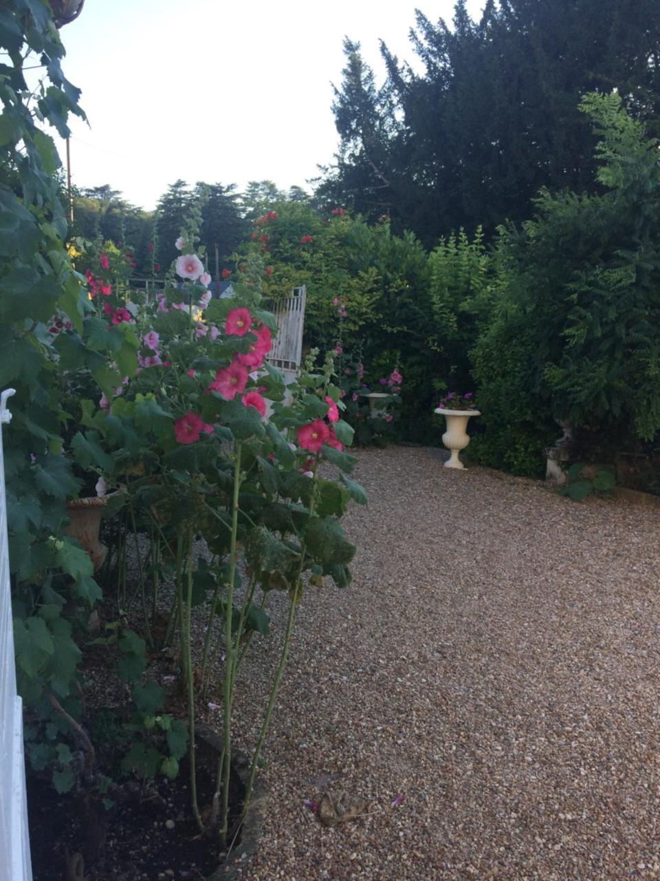 Le Clos Mademoiselle Loches Eksteriør bilde